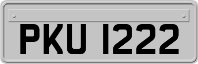 PKU1222