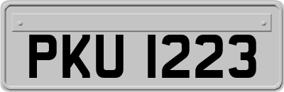 PKU1223