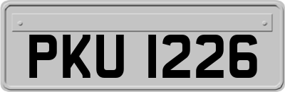 PKU1226