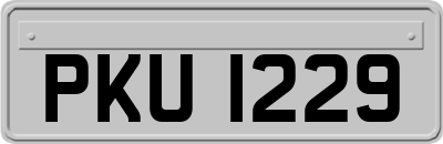 PKU1229