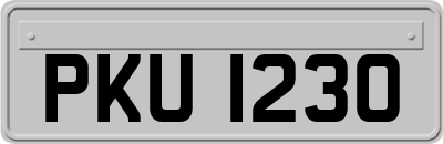 PKU1230