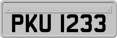 PKU1233