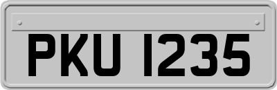 PKU1235