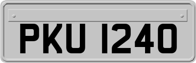 PKU1240