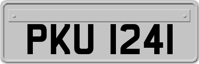 PKU1241