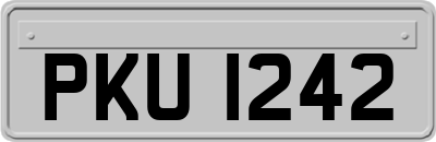 PKU1242