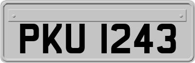 PKU1243