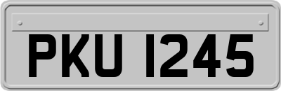 PKU1245