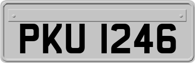 PKU1246