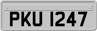 PKU1247