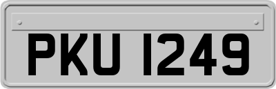 PKU1249