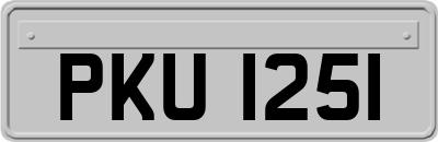 PKU1251