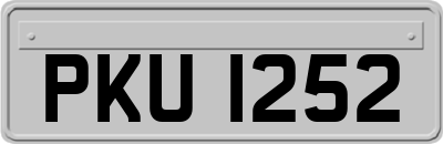 PKU1252