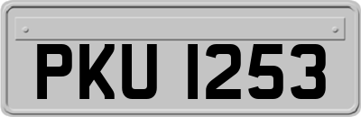 PKU1253