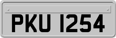 PKU1254