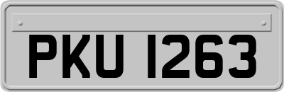 PKU1263