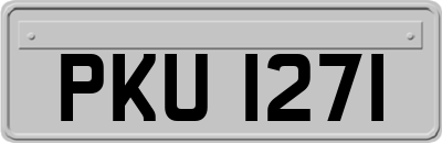 PKU1271