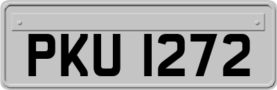 PKU1272
