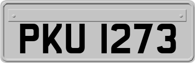 PKU1273