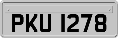PKU1278