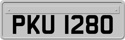 PKU1280