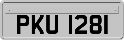 PKU1281