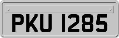 PKU1285