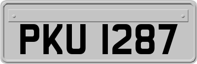 PKU1287