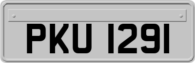 PKU1291
