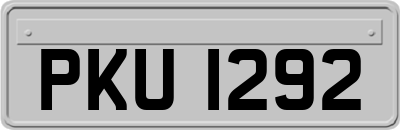 PKU1292