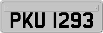 PKU1293