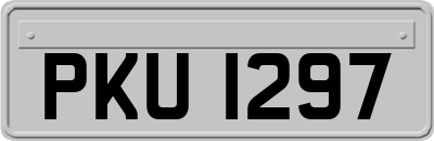PKU1297