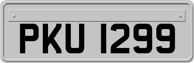 PKU1299
