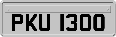 PKU1300