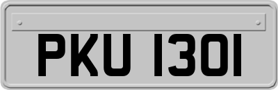 PKU1301