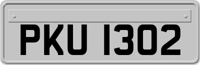 PKU1302