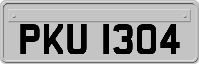 PKU1304