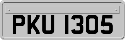 PKU1305