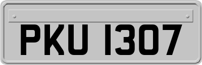 PKU1307