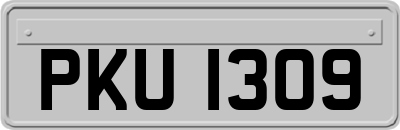 PKU1309