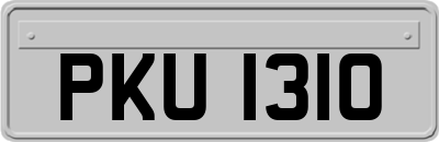 PKU1310