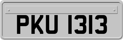 PKU1313