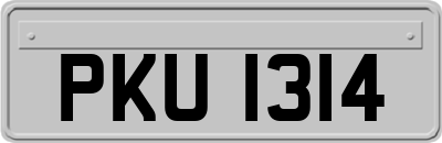 PKU1314
