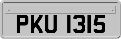 PKU1315