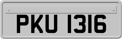 PKU1316