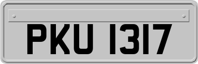 PKU1317