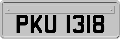 PKU1318
