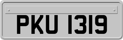 PKU1319
