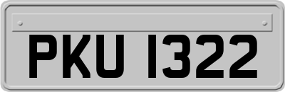 PKU1322