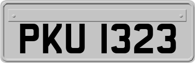 PKU1323